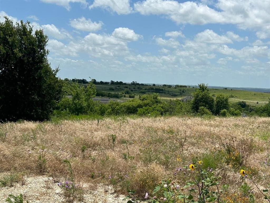 2.19 acres in Hood County - photo 4