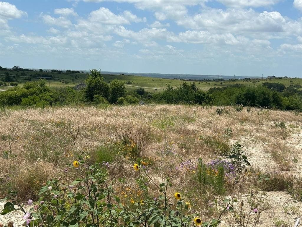 2.19 acres in Hood County - photo 5