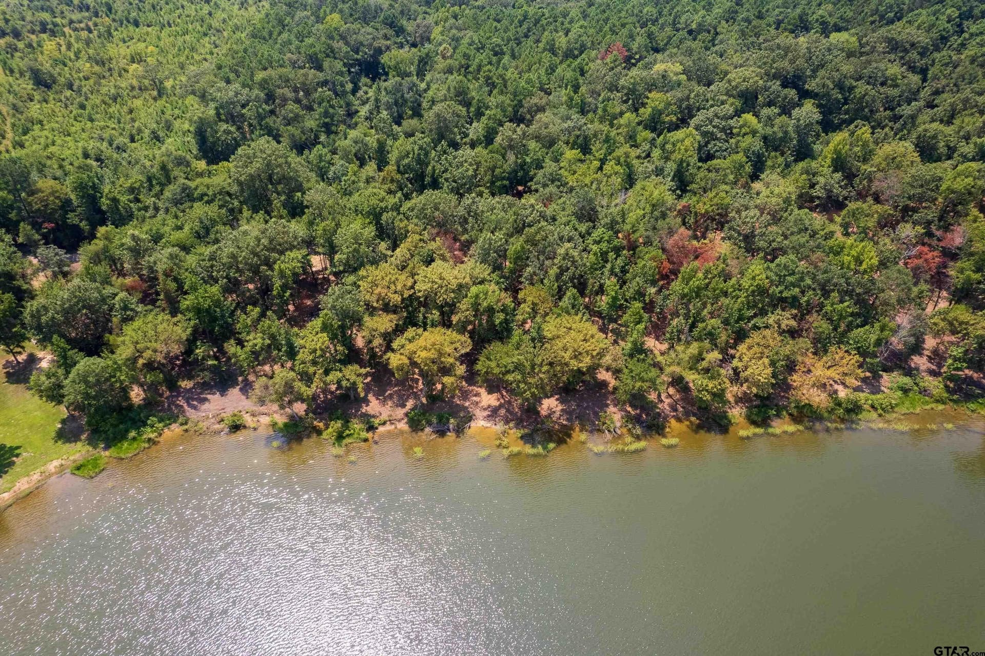 1.61 acres in Camp County - photo 10