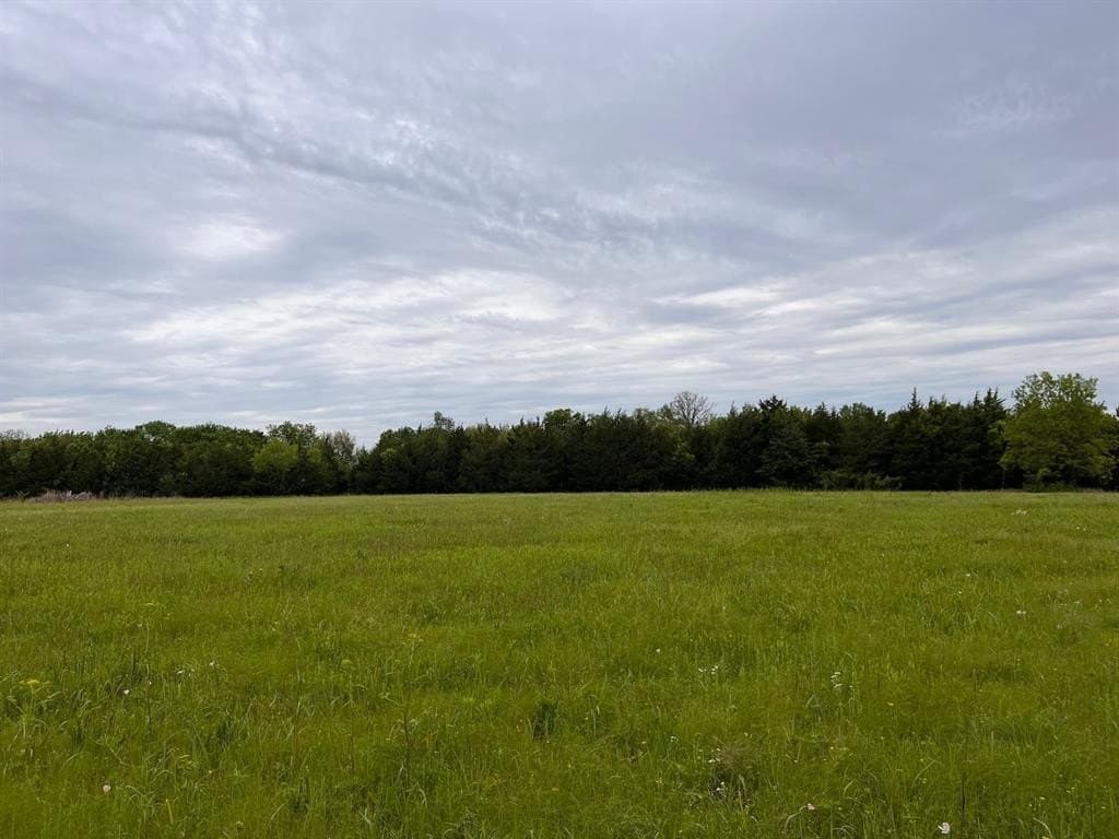 56.27 acres in Lamar County - photo 15