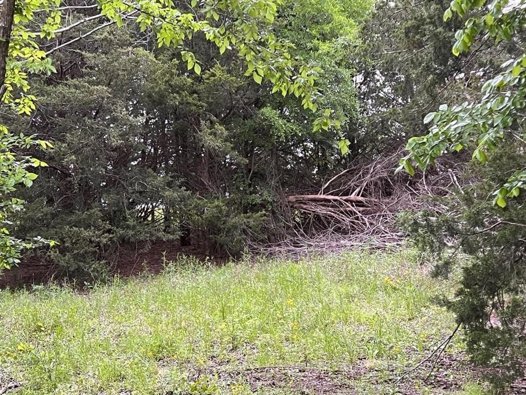 56.27 acres in Lamar County - photo 17