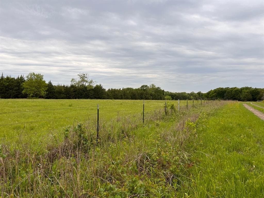 56.27 acres in Lamar County - photo 12