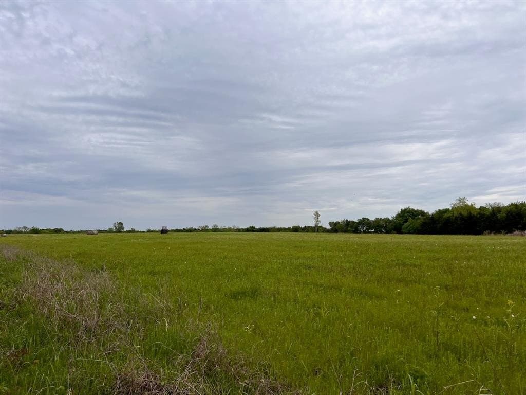 56.27 acres in Lamar County - photo 16