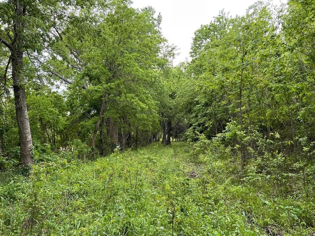 56.27 acres in Lamar County - photo 10