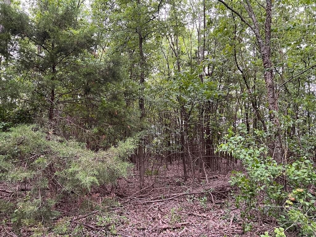 56.27 acres in Lamar County - photo 19