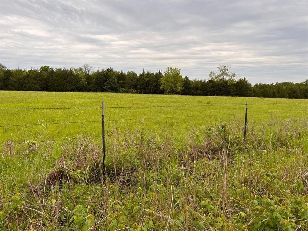 56.27 acres in Lamar County - photo 13