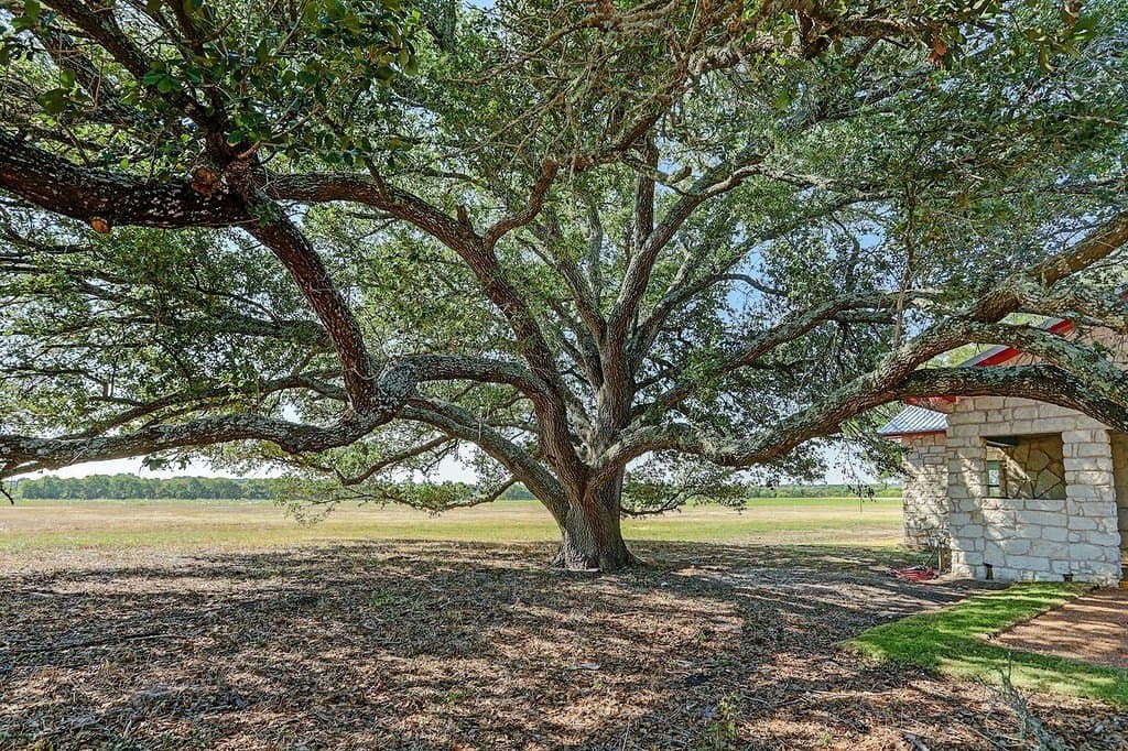 11.93 acres in Washington County - photo 22