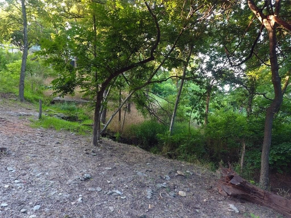 0.9 acres in Hood County - photo 39
