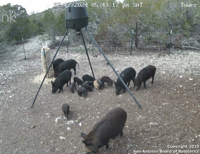 29.29 acres in Edwards County - photo 10
