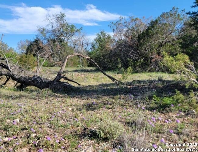 29.29 acres in Edwards County - photo 9