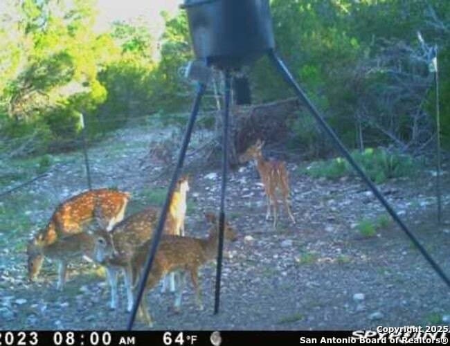 29.29 acres in Edwards County - photo 12