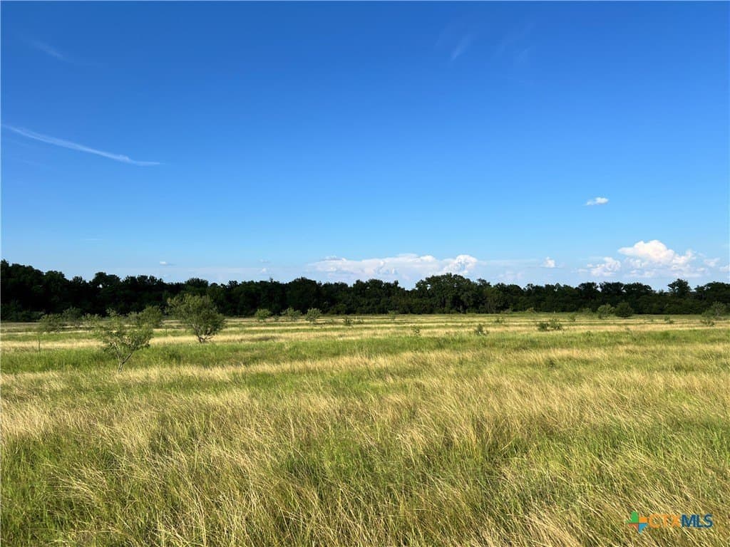 10.17 acres in Bell County - photo 14