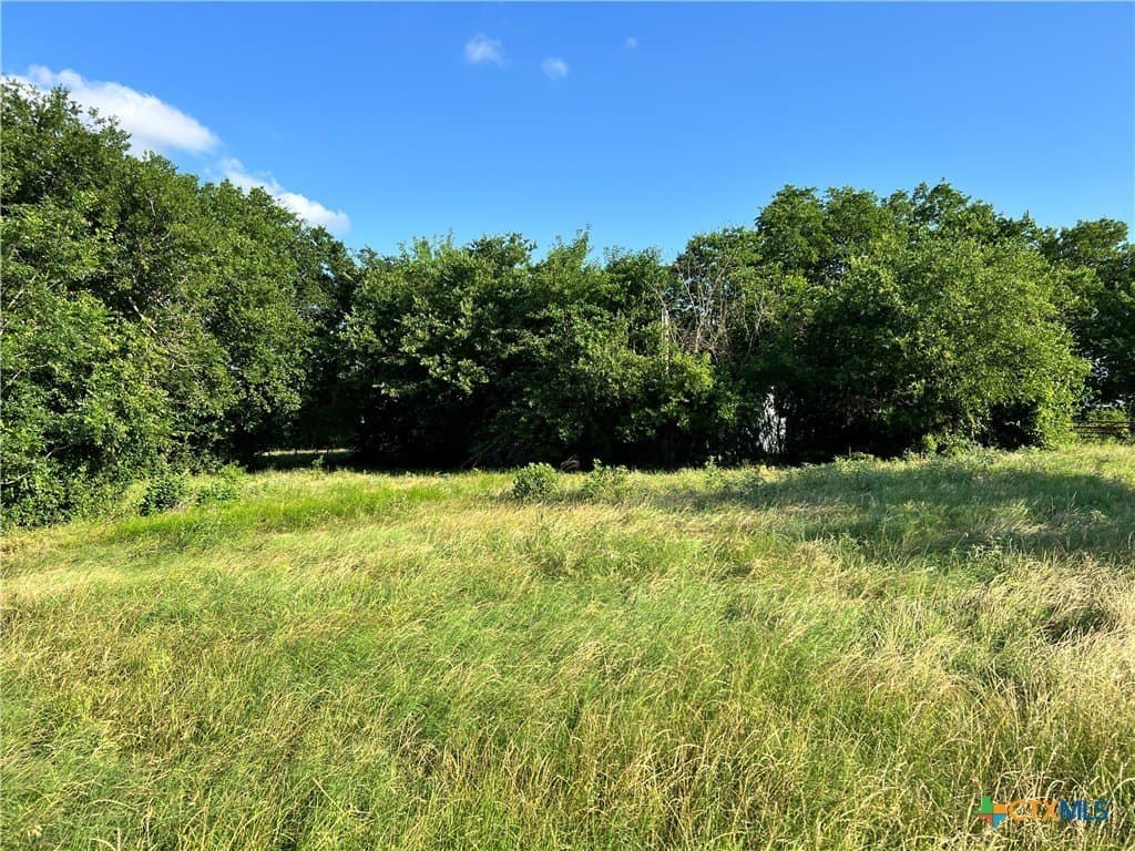 10.17 acres in Bell County - photo 5