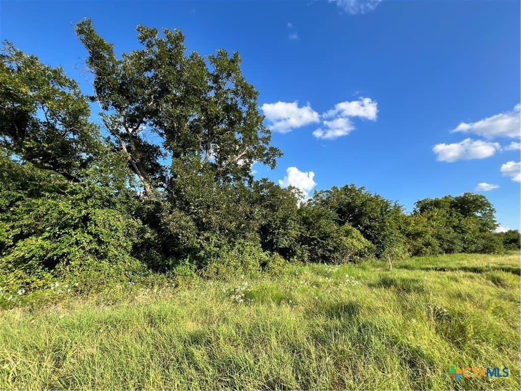 10.17 acres in Bell County - photo 7