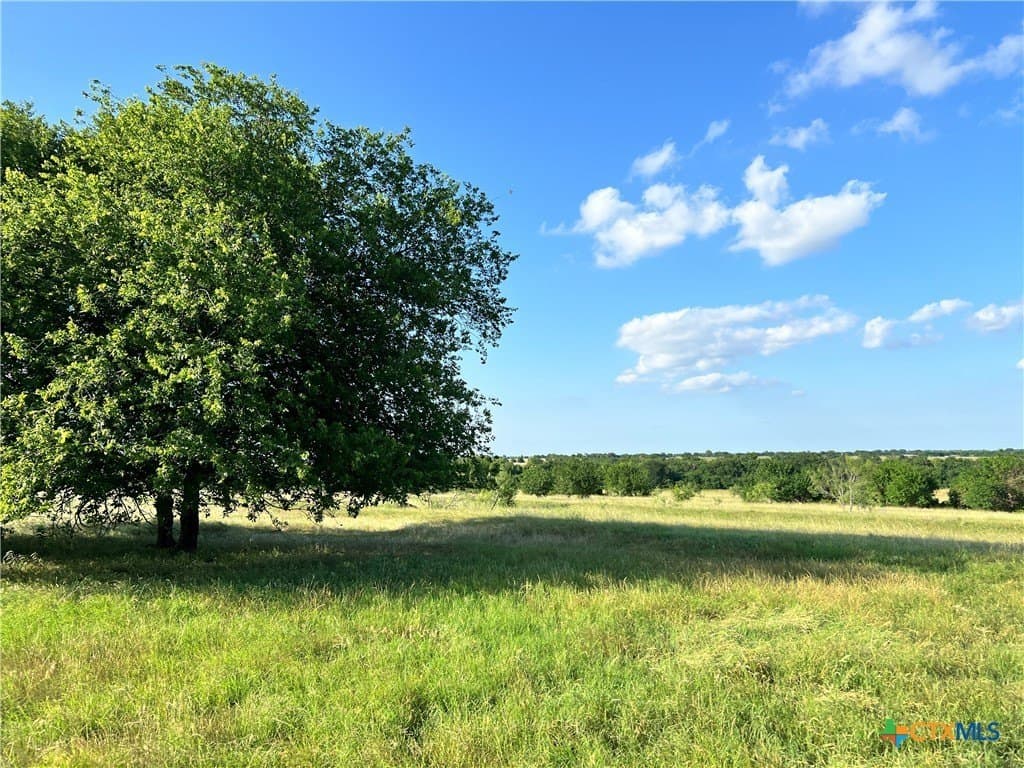 10.17 acres in Bell County - photo 13