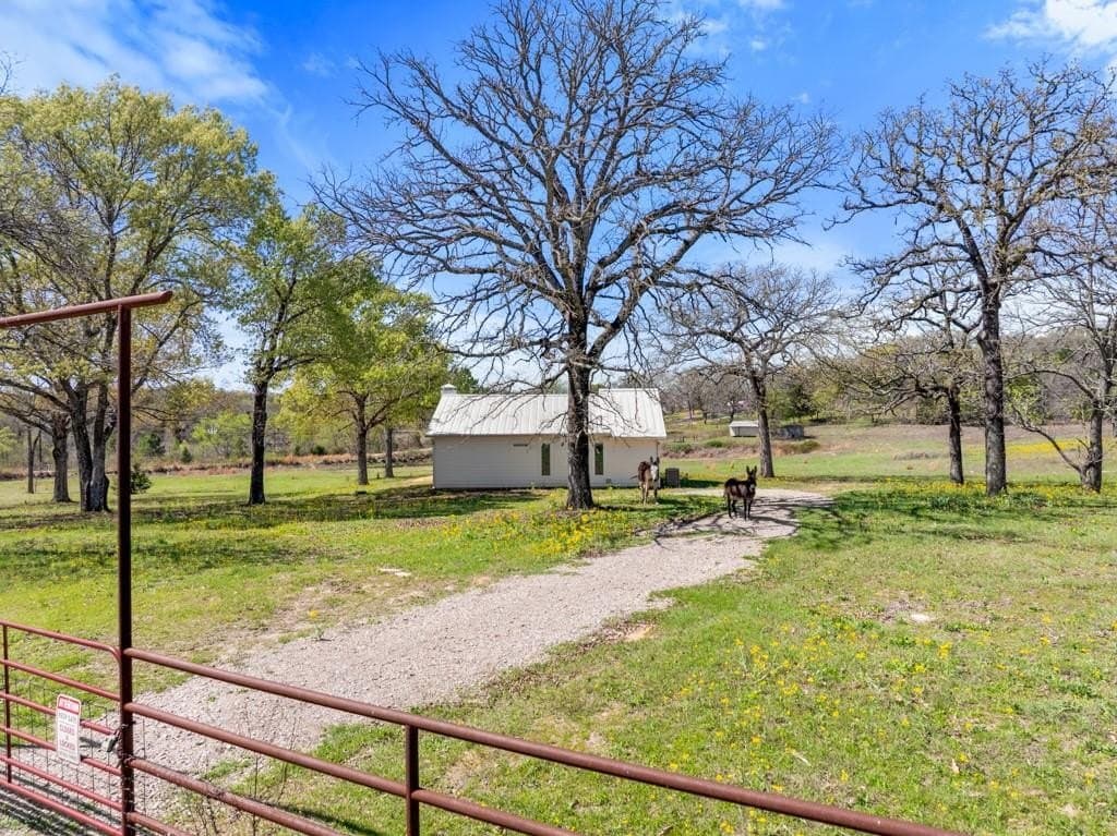 11 acres in Smith County - photo 2