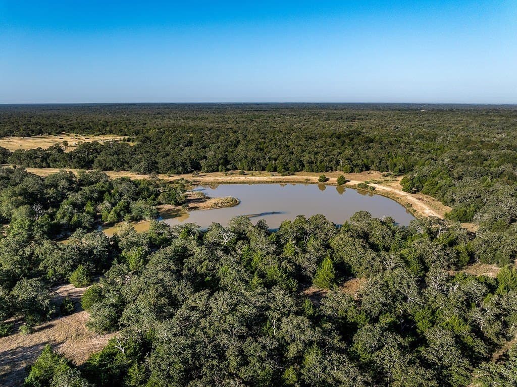 1,051.63 acres in Colorado County - photo 2