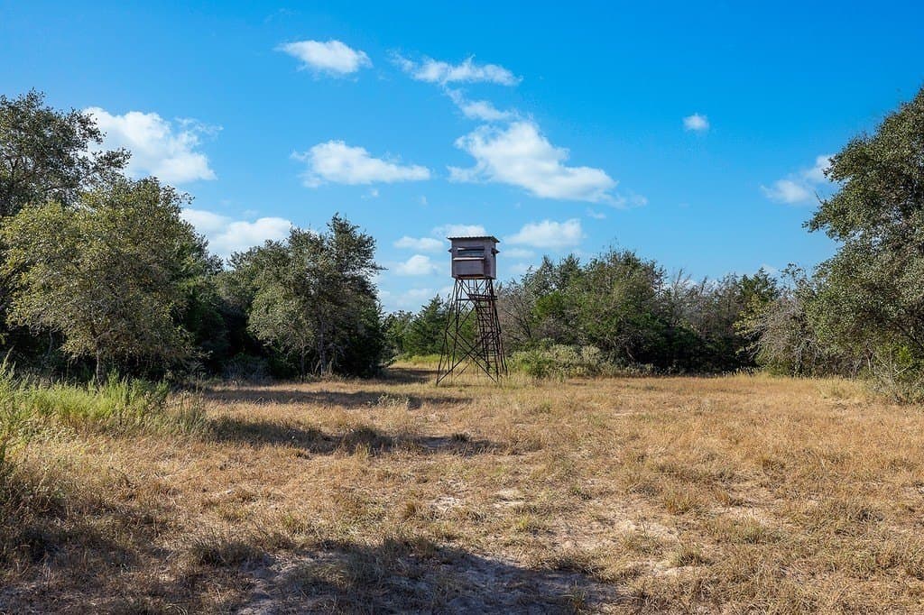 1,051.63 acres in Colorado County - photo 5