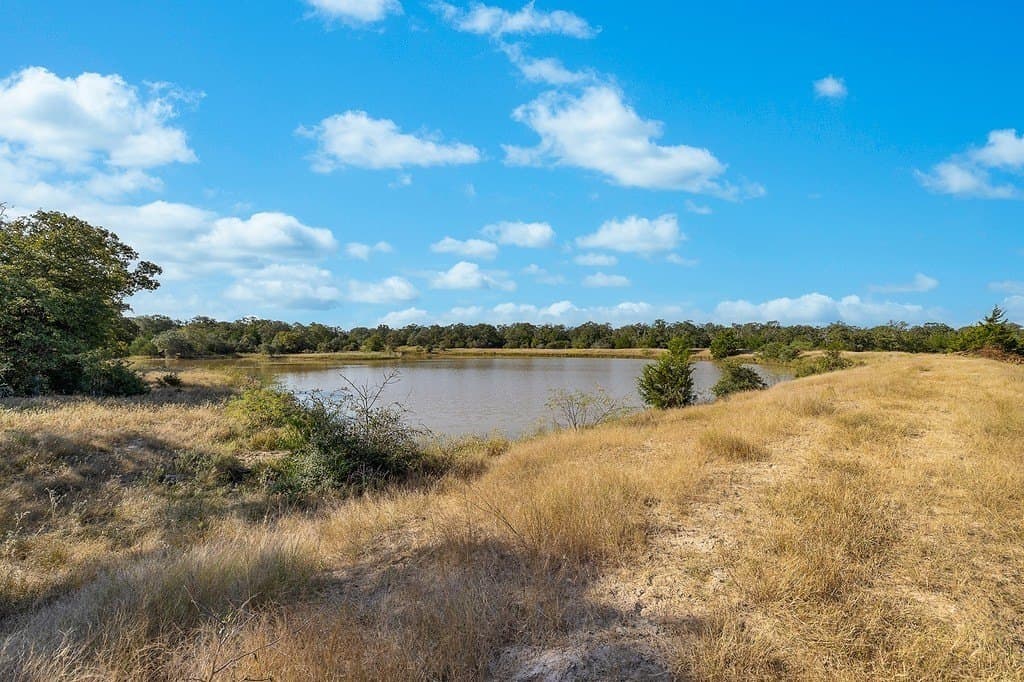 1,051.63 acres in Colorado County - photo 3