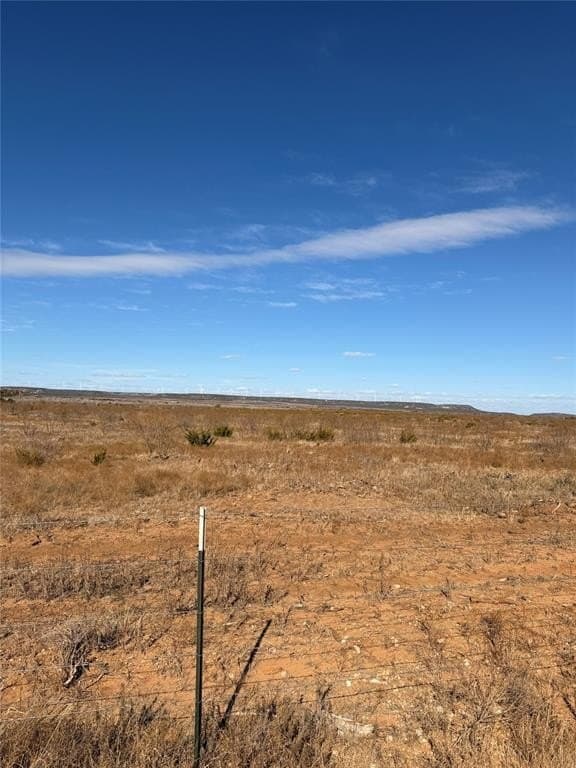 25 acres in Taylor County - photo 4
