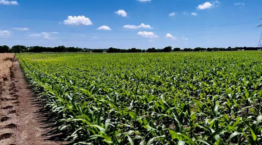 33.54 acres in Johnson County - photo 5