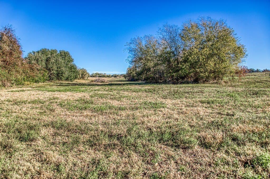32.5 acres in Washington County - photo 14