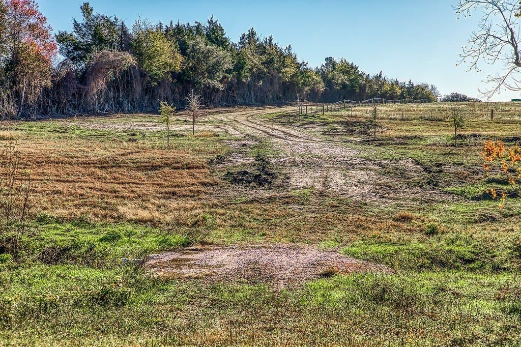 32.5 acres in Washington County - photo 2