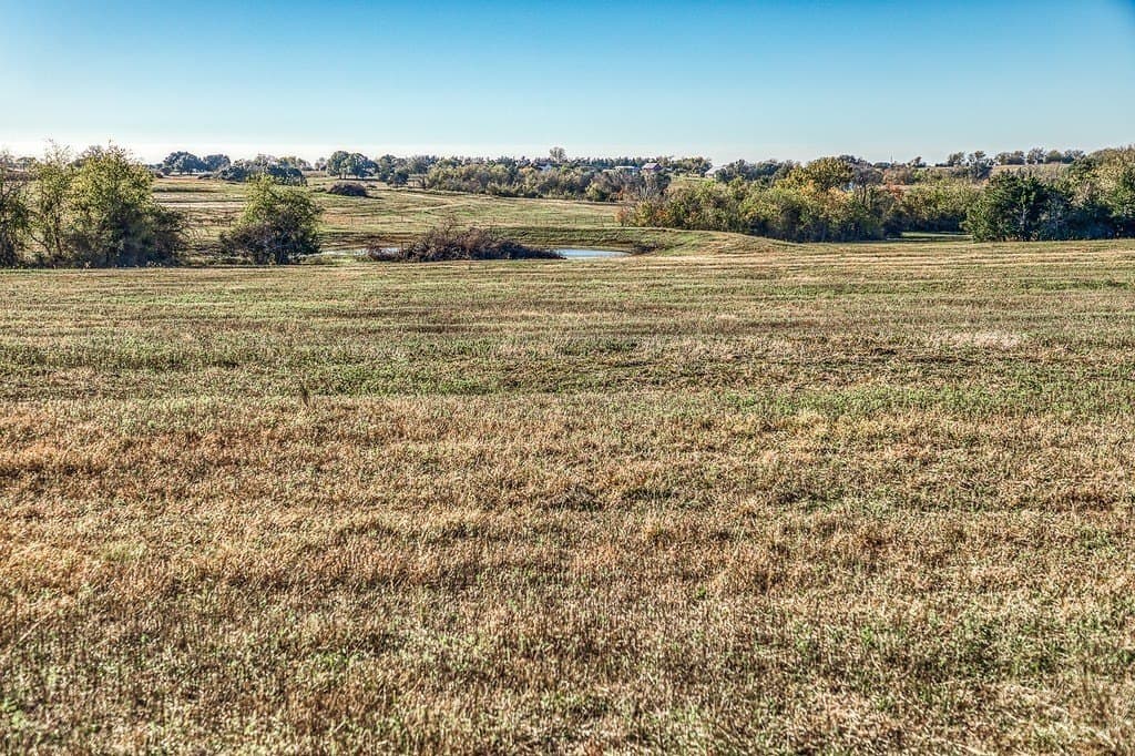 32.5 acres in Washington County - photo 4