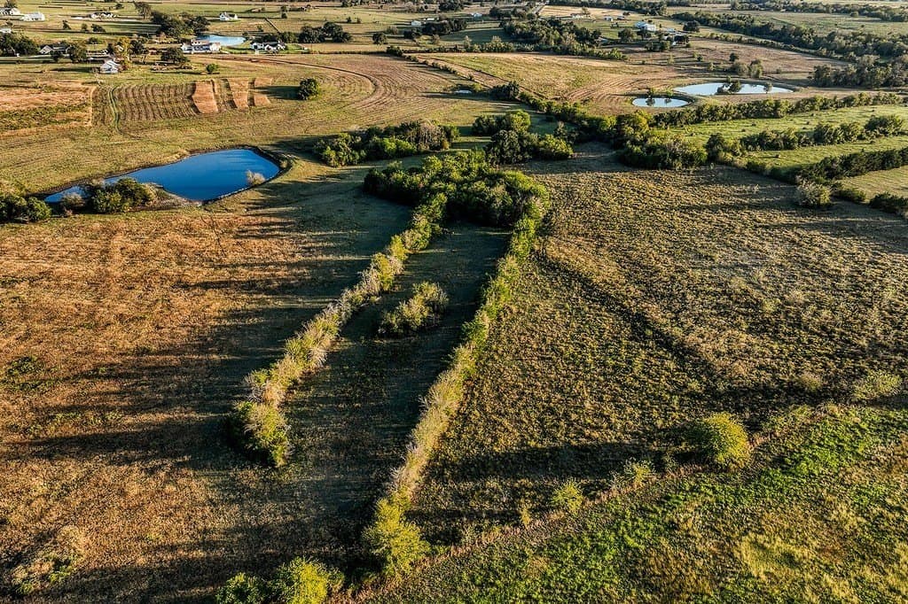 32.5 acres in Washington County - photo 18