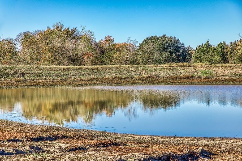 32.5 acres in Washington County - photo 7