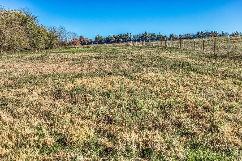 32.5 acres in Washington County - photo 11