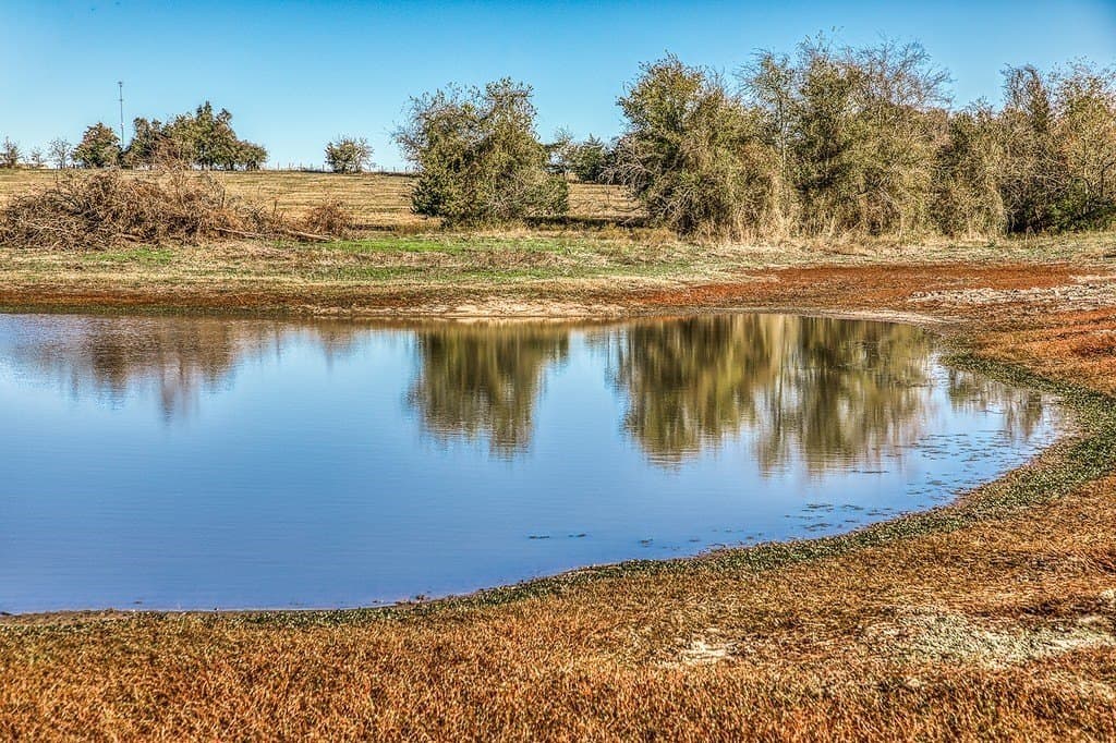 32.5 acres in Washington County - photo 8