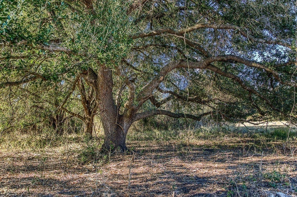 32.5 acres in Washington County - photo 3