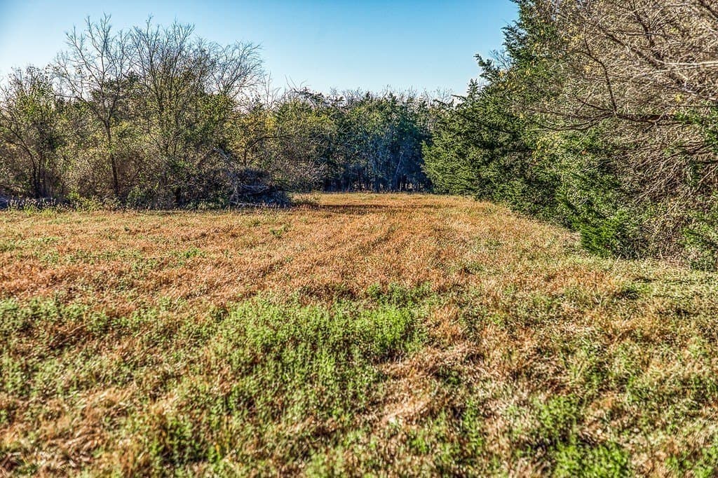 32.5 acres in Washington County - photo 5