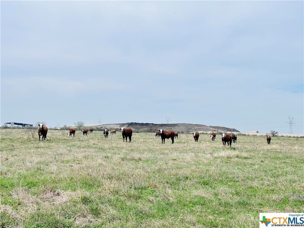 150 acres in Karnes County - photo 21