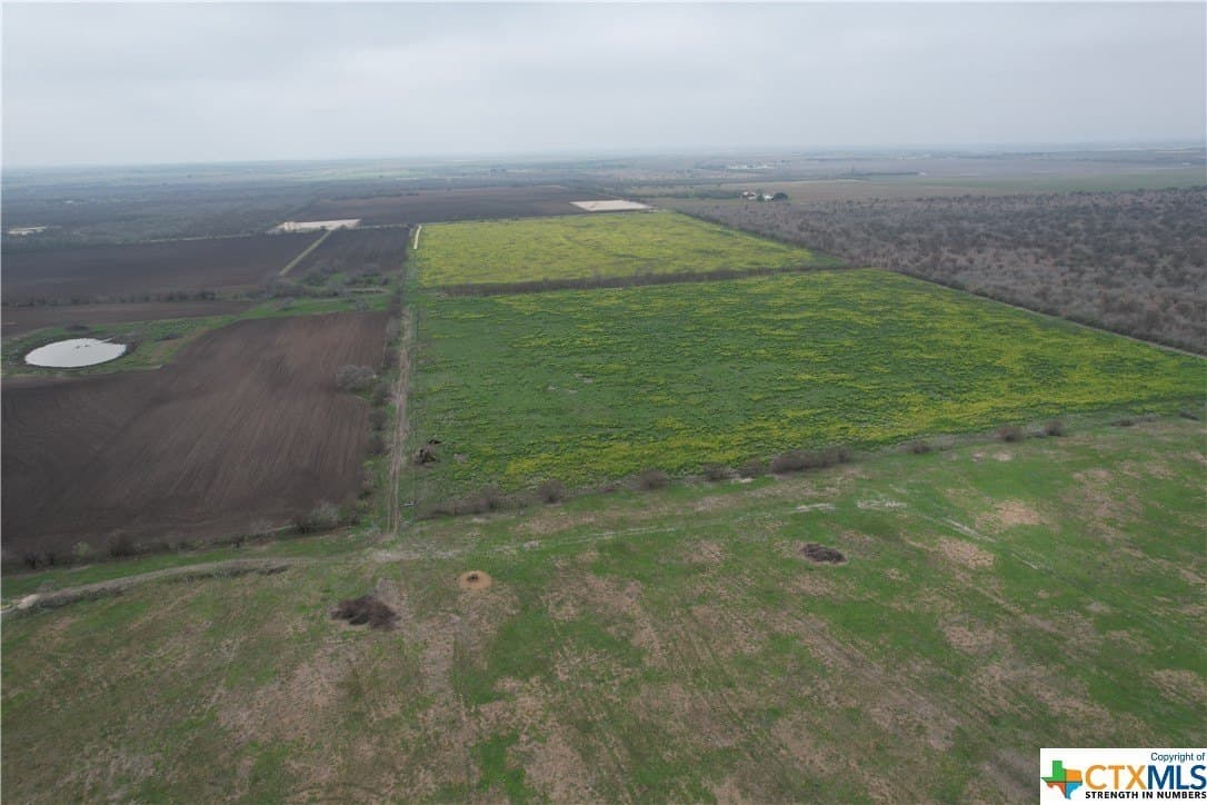 150 acres in Karnes County - photo 13