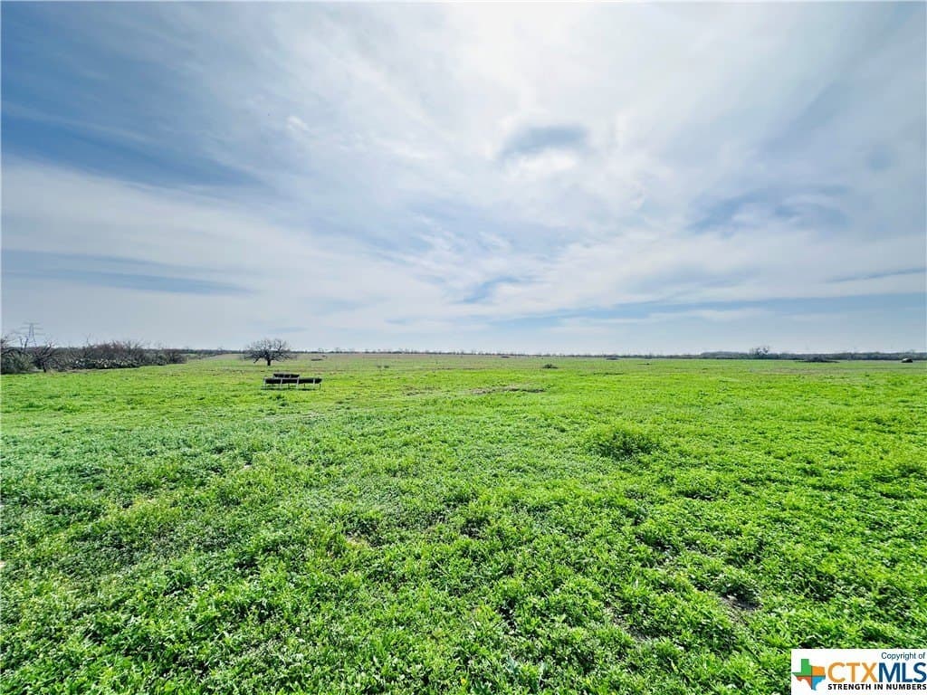 150 acres in Karnes County - photo 31