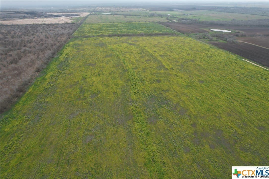 150 acres in Karnes County - photo 15