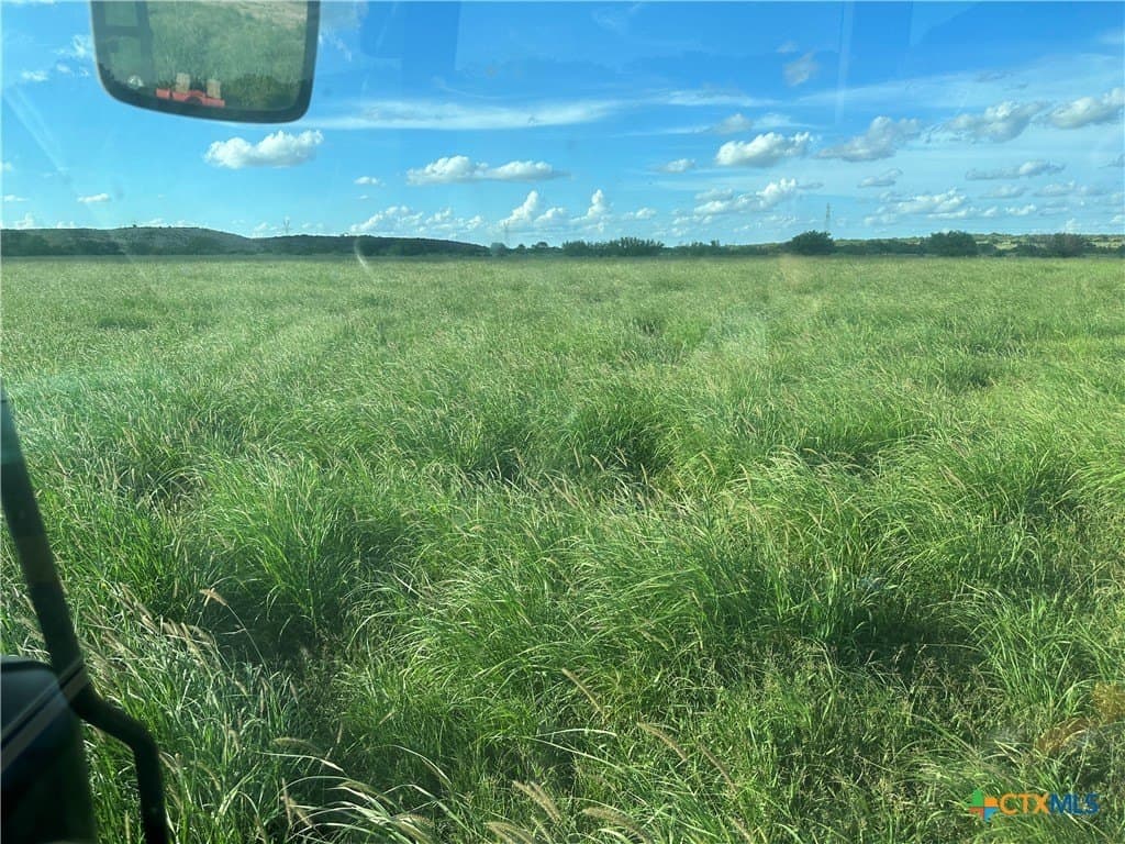 150 acres in Karnes County - photo 8