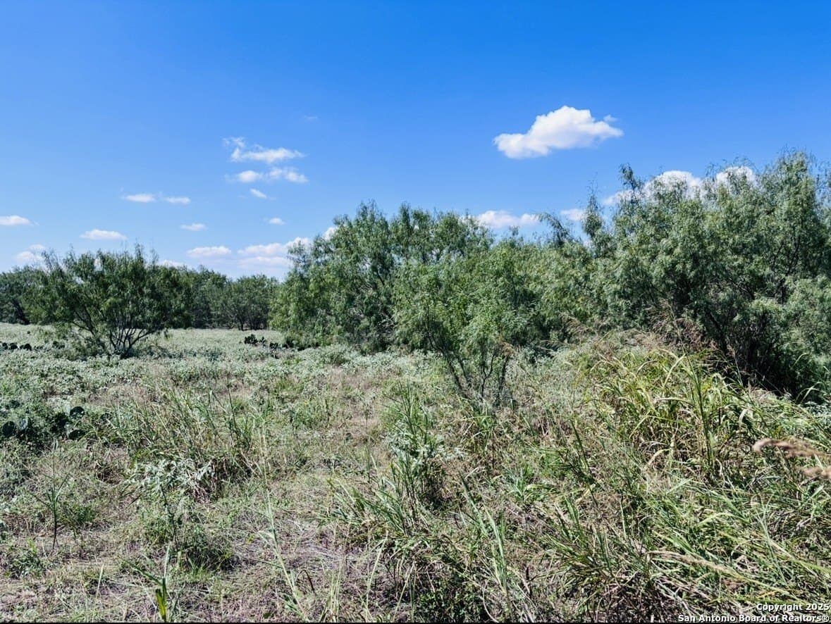 11 acres in Atascosa County - photo 5