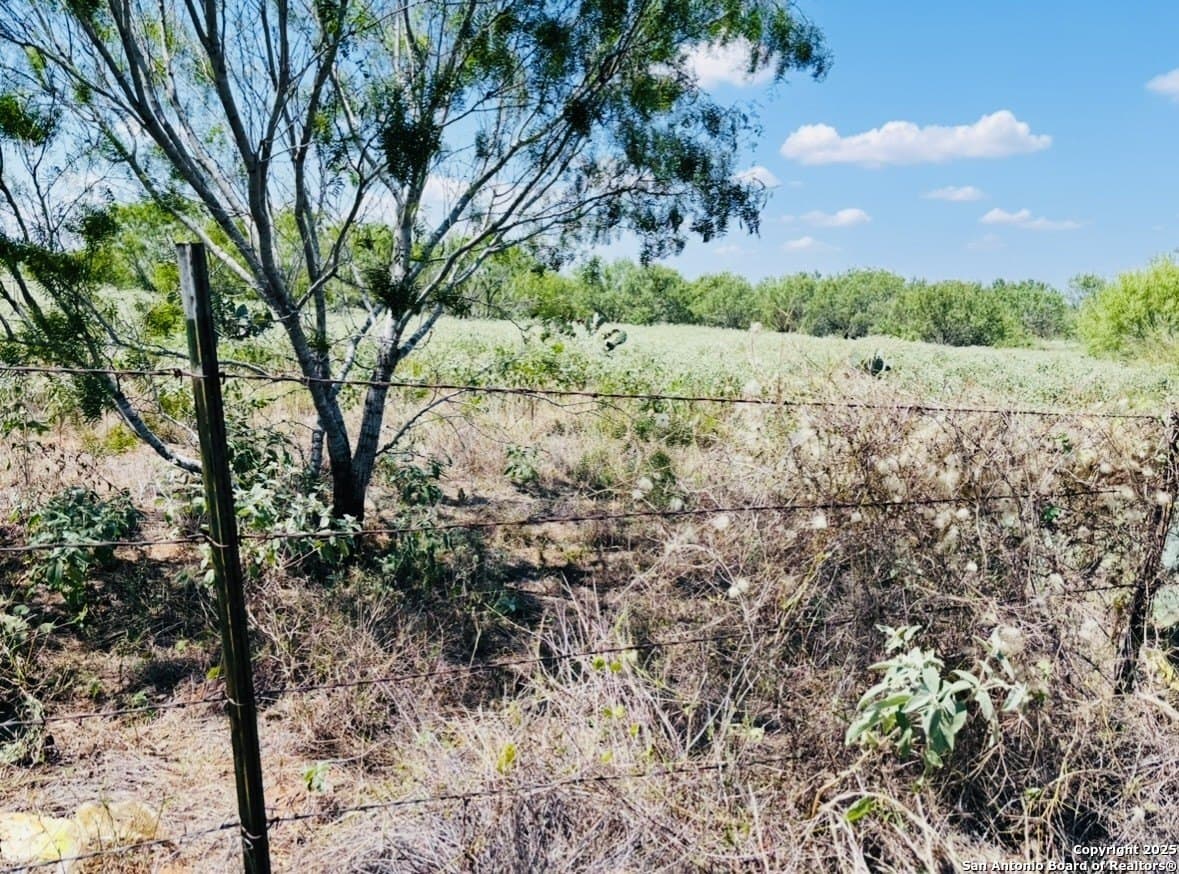11 acres in Atascosa County - photo 13
