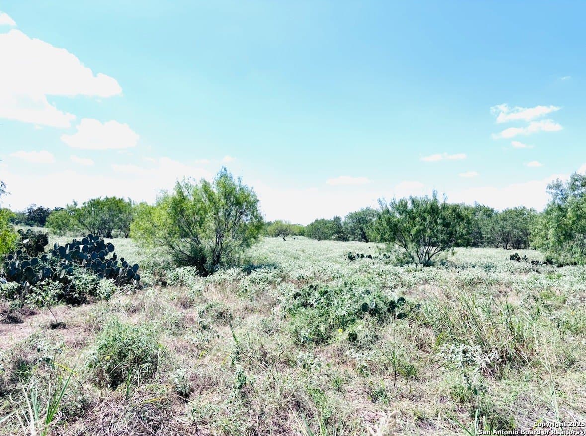 11 acres in Atascosa County - photo 10