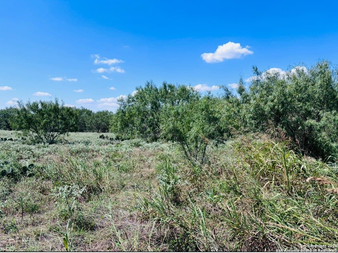 11 acres in Atascosa County - photo 9