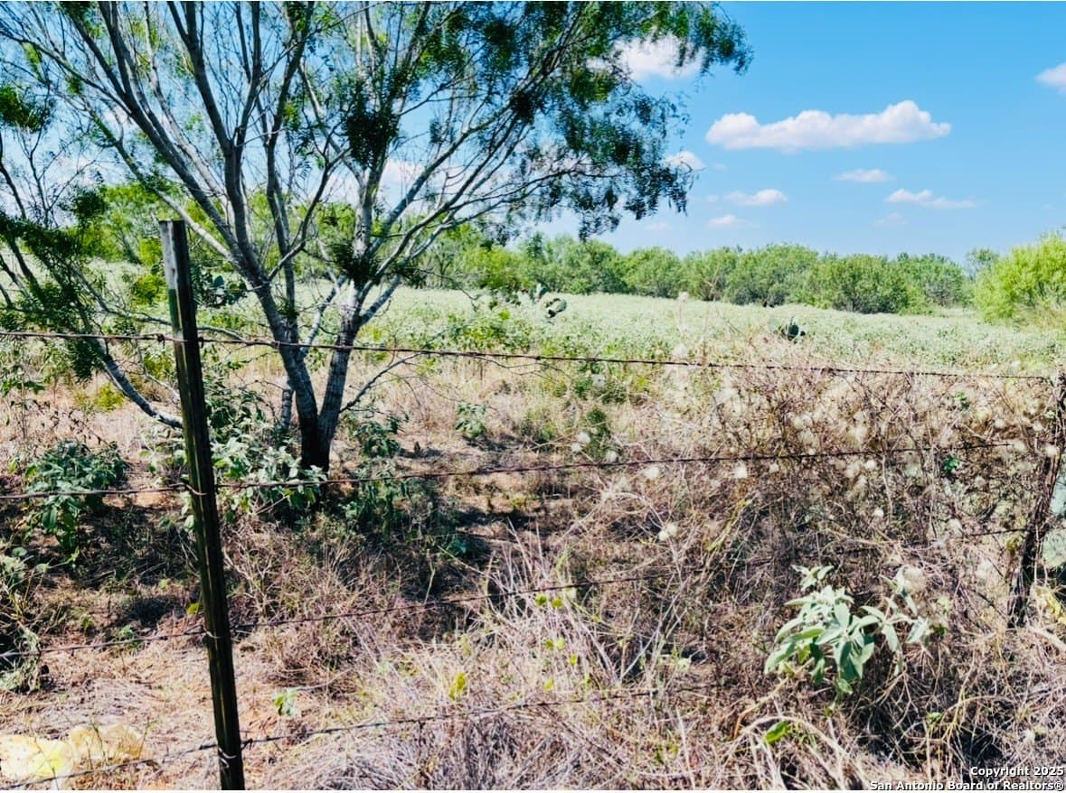 11 acres in Atascosa County - photo 6