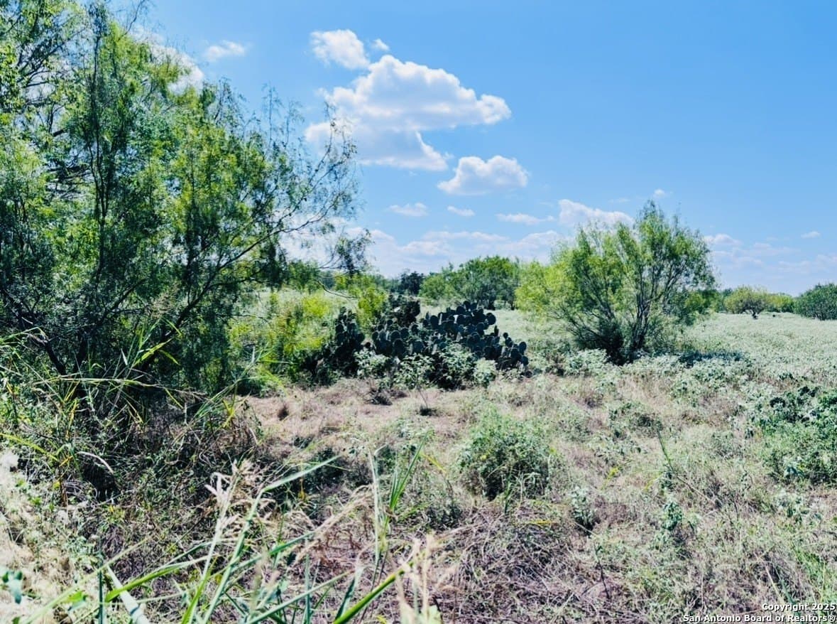 11 acres in Atascosa County - photo 14