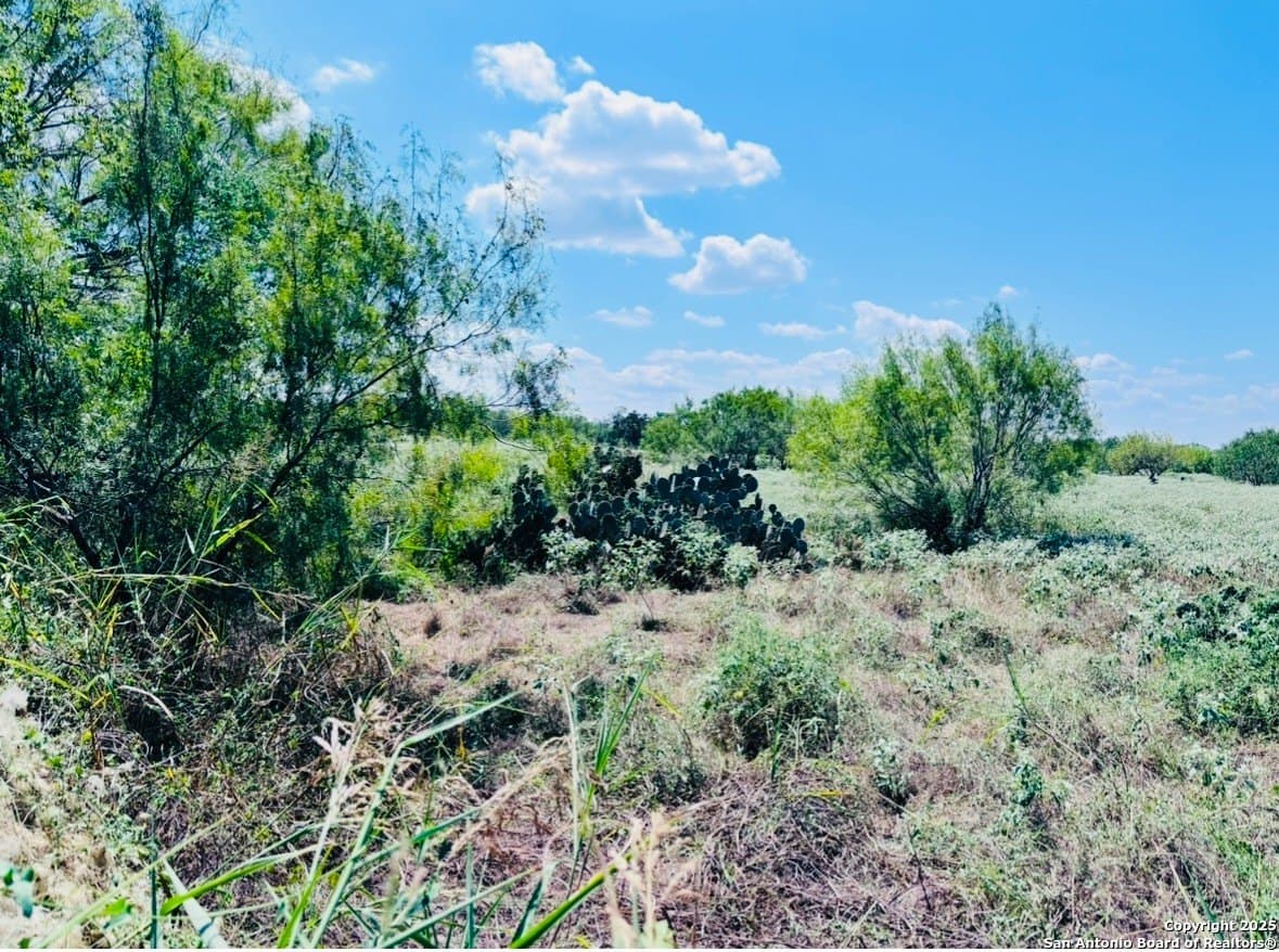 11 acres in Atascosa County - photo 8