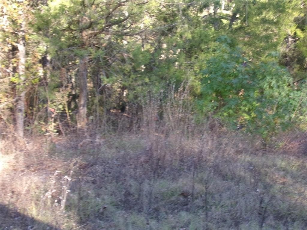 0.55 acres in Van Zandt County - photo 5