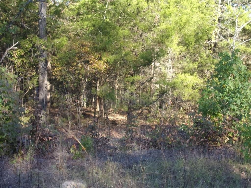 0.55 acres in Van Zandt County - photo 4