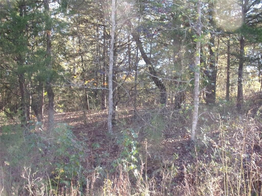 0.55 acres in Van Zandt County - photo 2