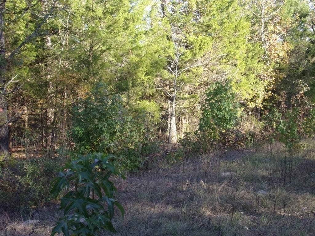 0.55 acres in Van Zandt County - photo 3